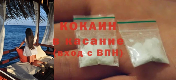 индика Алзамай