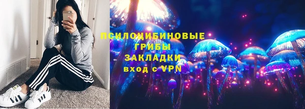 индика Алзамай